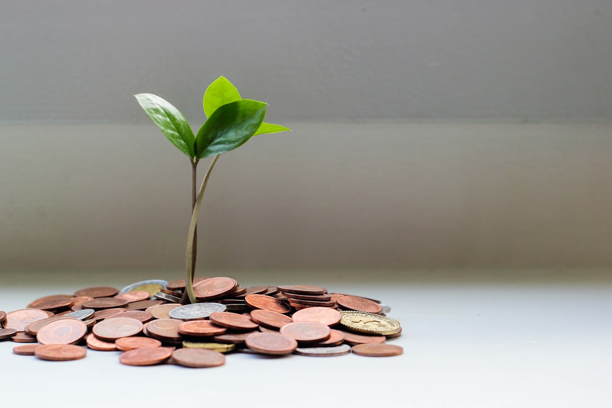 Understanding Cash Value in Life Insurance: How it Grows and How to Access It